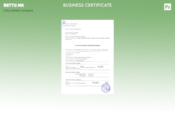 Модерен стил Шаблон за сертификат за регистрација на Босна и Херцеговина